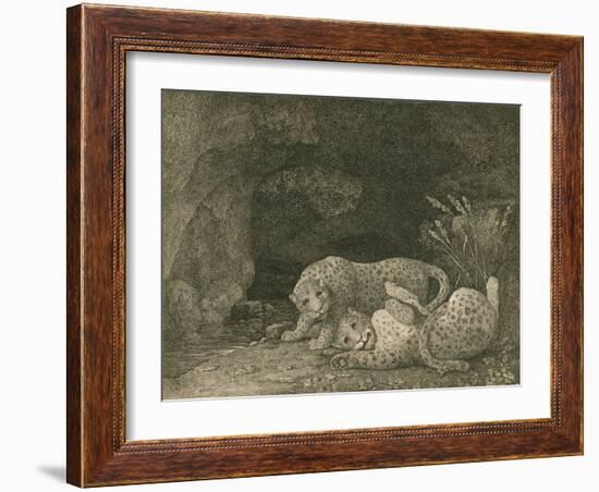 Tygers at Play, Engraved by the Artist, Pub. 1789-George Stubbs-Framed Giclee Print