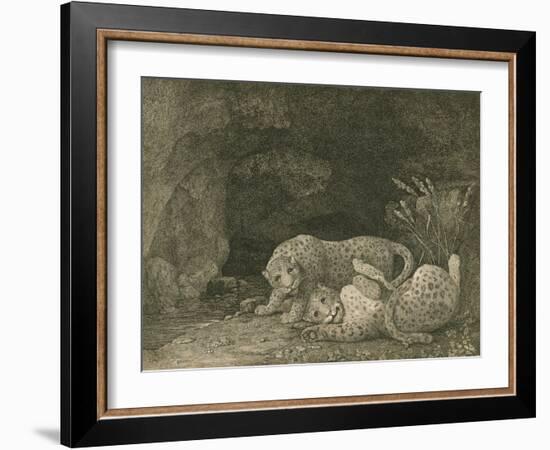 Tygers at Play, Engraved by the Artist, Pub. 1789-George Stubbs-Framed Giclee Print