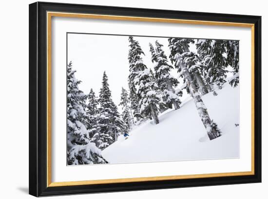 Tyler Hatcher Skis A Powder Haven During Winter Whiteout In The Backcountry, Mt Baker Ski Area WA-Jay Goodrich-Framed Photographic Print