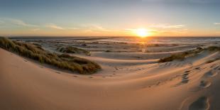 Sand dunes, grass, and driftwood at sunset on the Oregon coast, Oregon, United States of America, N-Tyler Lillico-Photographic Print