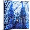 Tyn Cathedral-Tosh-Mounted Art Print