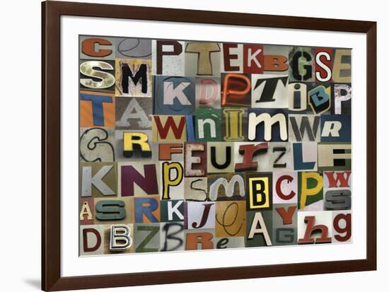 Type I-Sharon Elphick-Framed Premium Giclee Print