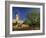 Typical Agricultural Windmill, Mallorca, Balearic Islands, Spain, Europe-Tomlinson Ruth-Framed Photographic Print