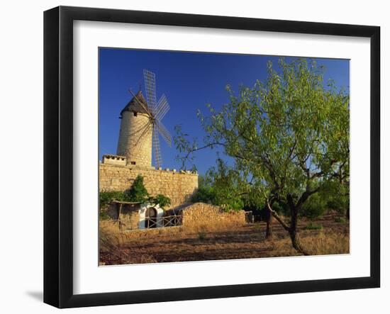 Typical Agricultural Windmill, Mallorca, Balearic Islands, Spain, Europe-Tomlinson Ruth-Framed Photographic Print