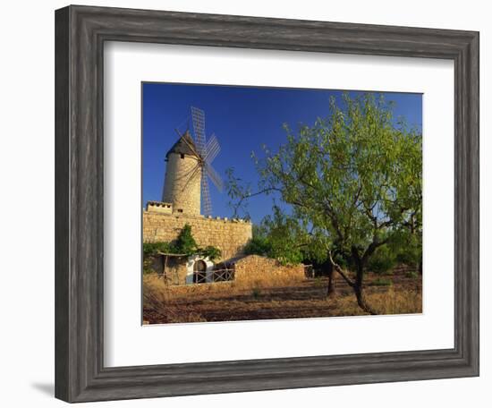 Typical Agricultural Windmill, Mallorca, Balearic Islands, Spain, Europe-Tomlinson Ruth-Framed Photographic Print
