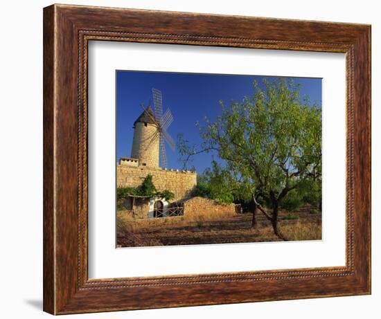 Typical Agricultural Windmill, Mallorca, Balearic Islands, Spain, Europe-Tomlinson Ruth-Framed Photographic Print