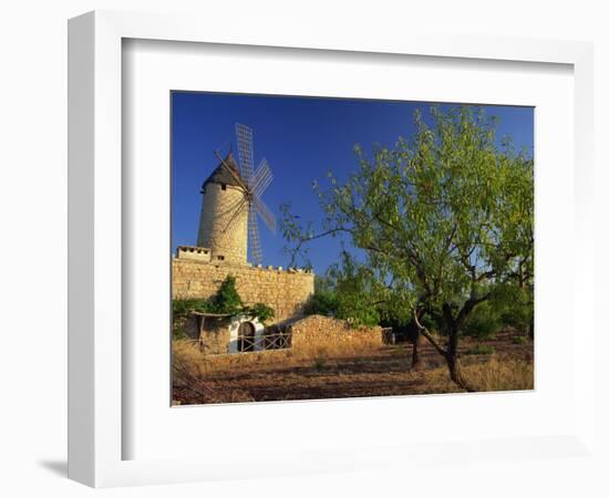 Typical Agricultural Windmill, Mallorca, Balearic Islands, Spain, Europe-Tomlinson Ruth-Framed Photographic Print