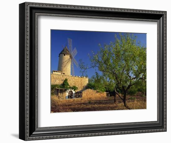 Typical Agricultural Windmill, Mallorca, Balearic Islands, Spain, Europe-Tomlinson Ruth-Framed Photographic Print