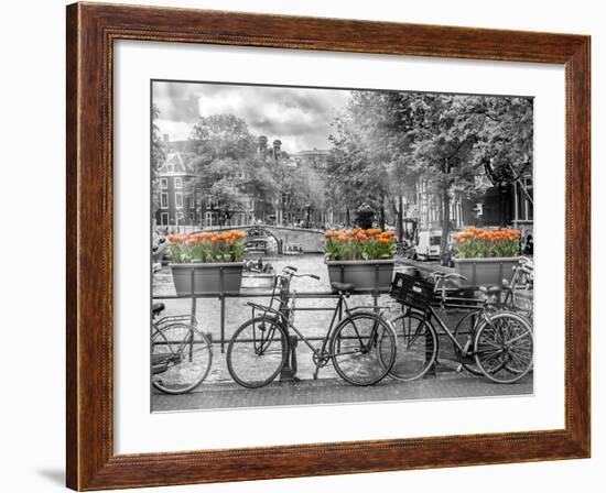 Typical Amsterdam - Panoramic View-Melanie Viola-Framed Art Print