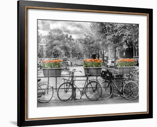 Typical Amsterdam - Panoramic View-Melanie Viola-Framed Art Print