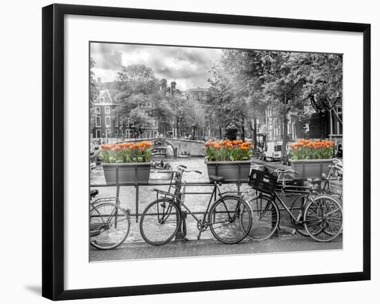 Typical Amsterdam - Panoramic View-Melanie Viola-Framed Art Print