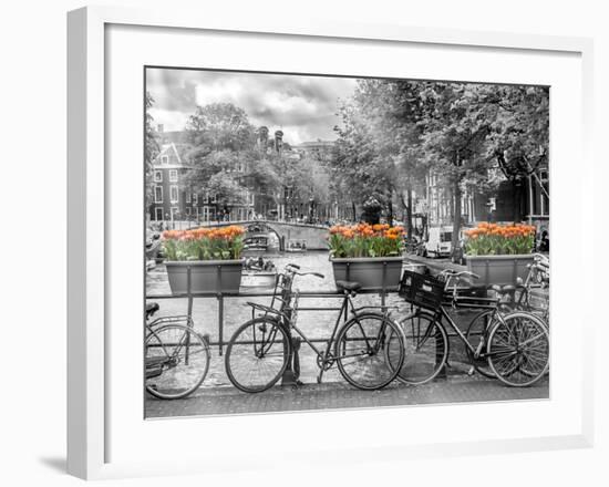 Typical Amsterdam - Panoramic View-Melanie Viola-Framed Art Print