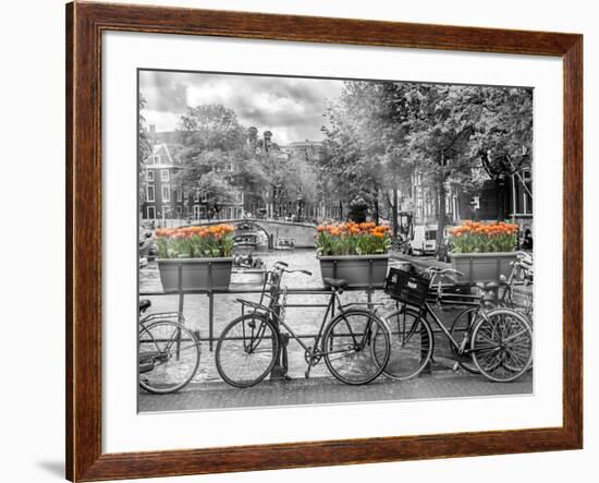 Typical Amsterdam - Panoramic View-Melanie Viola-Framed Art Print