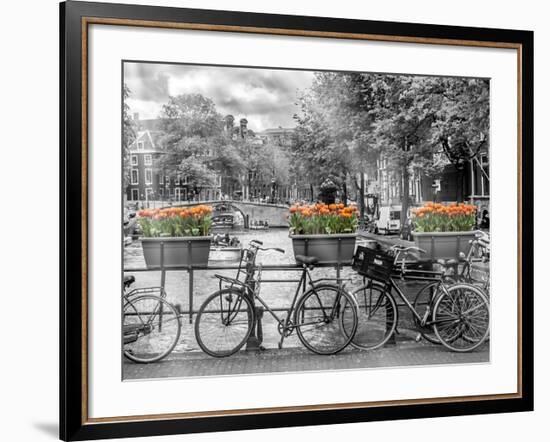 Typical Amsterdam - Panoramic View-Melanie Viola-Framed Art Print