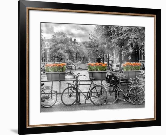 Typical Amsterdam - Panoramic View-Melanie Viola-Framed Art Print