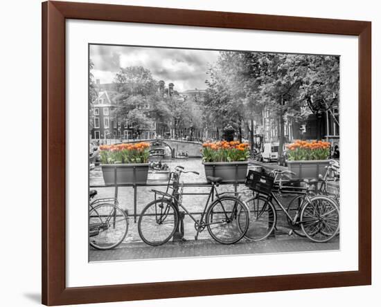 Typical Amsterdam - Panoramic View-Melanie Viola-Framed Art Print