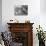 Typical Amsterdam - Panoramic View-Melanie Viola-Mounted Art Print displayed on a wall