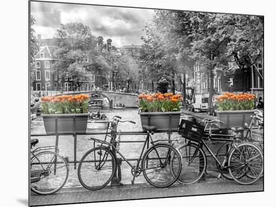 Typical Amsterdam - Panoramic View-Melanie Viola-Mounted Art Print