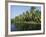 Typical Backwater Scene, Canals and Rivers are Used as Roadways, Kerala, India-Robert Harding-Framed Photographic Print