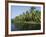 Typical Backwater Scene, Canals and Rivers are Used as Roadways, Kerala, India-Robert Harding-Framed Photographic Print