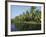 Typical Backwater Scene, Canals and Rivers are Used as Roadways, Kerala, India-Robert Harding-Framed Photographic Print