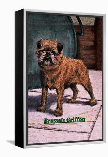 Typical Brussels Griffon Champion-null-Framed Stretched Canvas