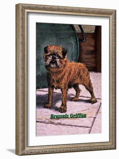 Typical Brussels Griffon Champion-null-Framed Art Print