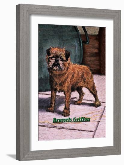 Typical Brussels Griffon Champion-null-Framed Art Print