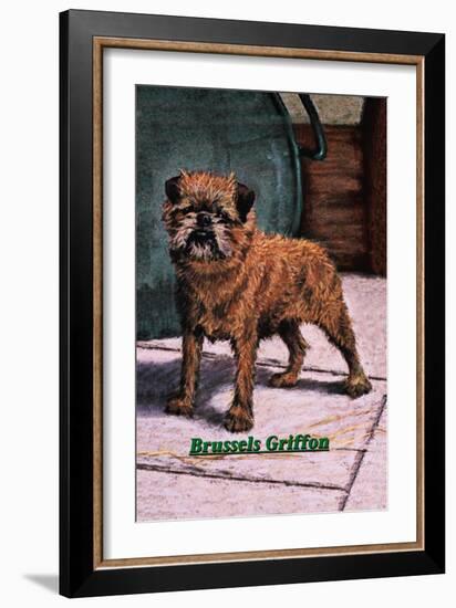 Typical Brussels Griffon Champion-null-Framed Art Print
