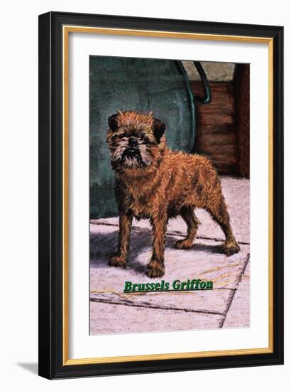 Typical Brussels Griffon Champion-null-Framed Art Print