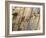 Typical Building Facade, Old Aix, Aix En Provence, Provence, France, Europe-Guy Thouvenin-Framed Photographic Print