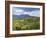 Typical Central Highlands Landscape, Near Dalat, Vietnam, Asia-Robert Francis-Framed Photographic Print