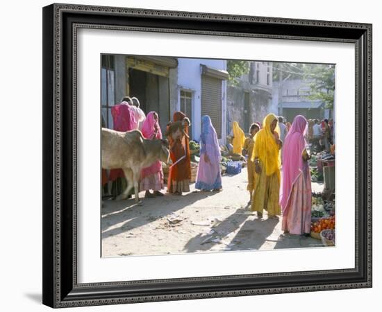 Typical Coloured Rajasthani Saris, Pushkar, Rajasthan, India-Tony Waltham-Framed Photographic Print