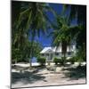 Typical Cottage on the North Side of Grand Cayman, Cayman Islands, West Indies, Caribbean-Ruth Tomlinson-Mounted Photographic Print