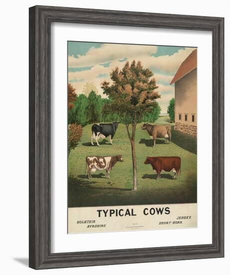 Typical Cows, c. 1904-Vintage Reproduction-Framed Art Print