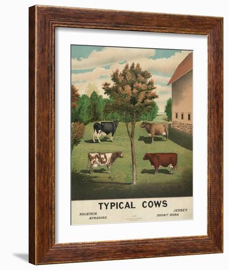 Typical Cows, c. 1904-Vintage Reproduction-Framed Art Print