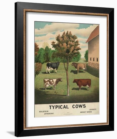 Typical Cows, c. 1904-Vintage Reproduction-Framed Art Print