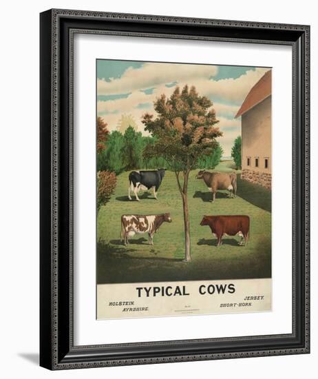 Typical Cows, c. 1904-Vintage Reproduction-Framed Art Print