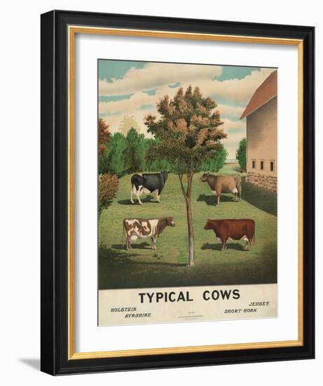 Typical Cows, c. 1904-Vintage Reproduction-Framed Art Print