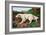 Typical English Setter-null-Framed Art Print