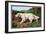 Typical English Setter-null-Framed Art Print