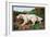 Typical English Setter-null-Framed Art Print