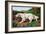 Typical English Setter-null-Framed Art Print