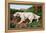 Typical English Setter-null-Framed Stretched Canvas