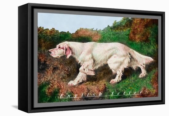 Typical English Setter-null-Framed Stretched Canvas