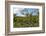 Typical Flowering Shade Tree Arabica Coffee Plantation in Highlands En Route to Jinotega-Rob Francis-Framed Photographic Print