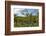 Typical Flowering Shade Tree Arabica Coffee Plantation in Highlands En Route to Jinotega-Rob Francis-Framed Photographic Print