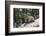 Typical Goat of Northern India Rests on a Rock in the Sun in a Wildlife Reserve, Darjeeling, India-Roberto Moiola-Framed Photographic Print