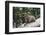 Typical Goat of Northern India Rests on a Rock in the Sun in a Wildlife Reserve, Darjeeling, India-Roberto Moiola-Framed Photographic Print