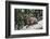 Typical Goat of Northern India Rests on a Rock in the Sun in a Wildlife Reserve, Darjeeling, India-Roberto Moiola-Framed Photographic Print